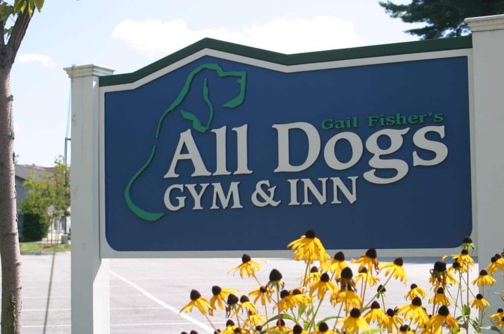 All Dogs Gym