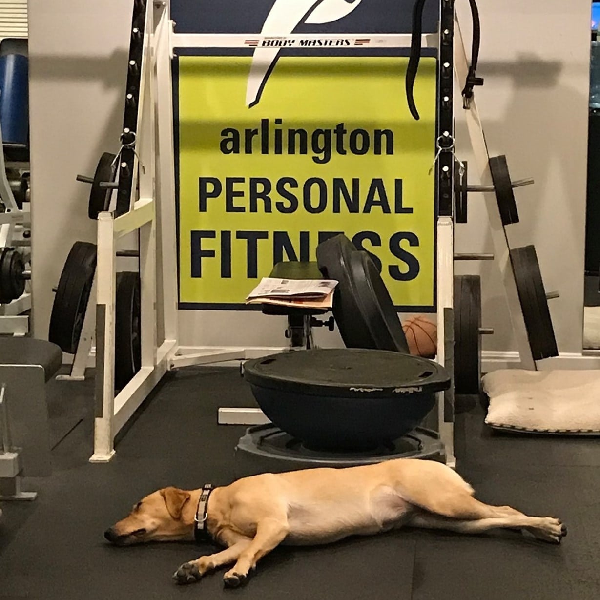 Arlington Personal Fitness