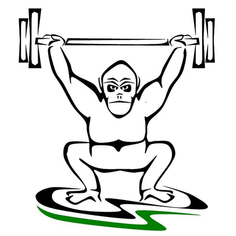 CrossFit Jungle Gym Teens