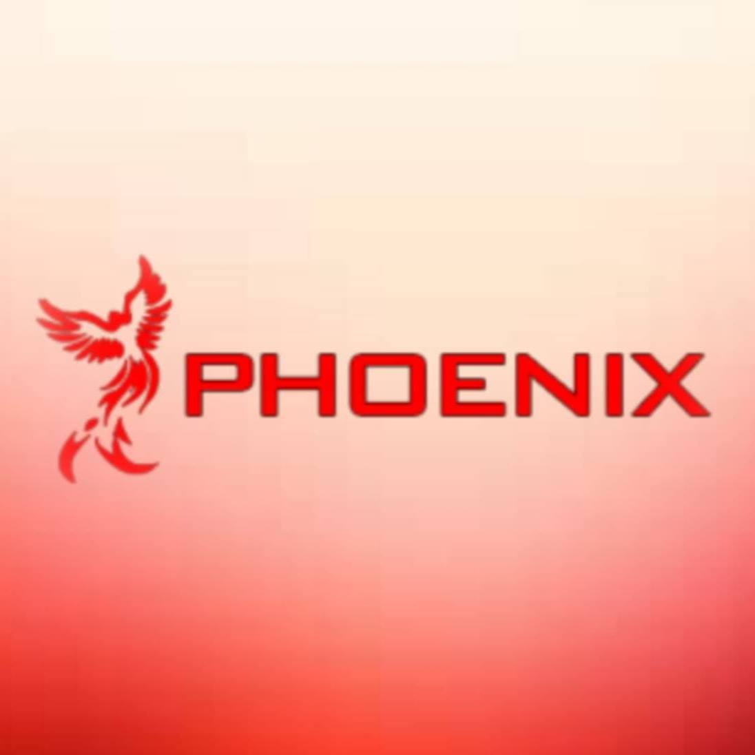Phoenix Gym Centre