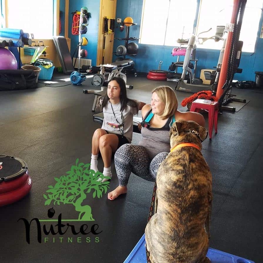 348443311_920116595708918_2989200563379182698_n